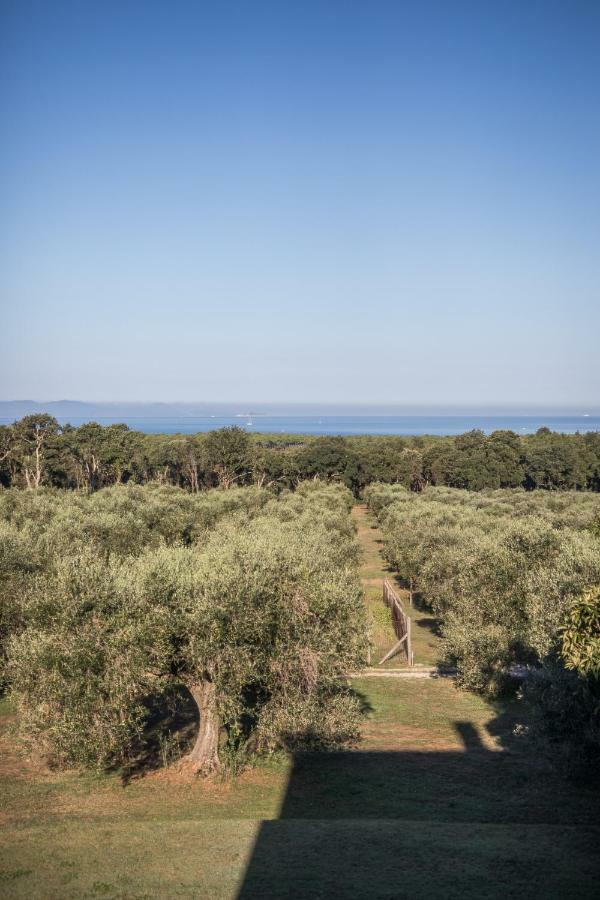 Podere San Niccola Casa vacanze *